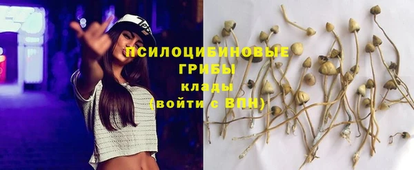 мдпв Кулебаки