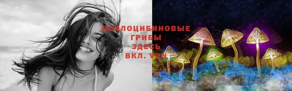 стафф Ладушкин