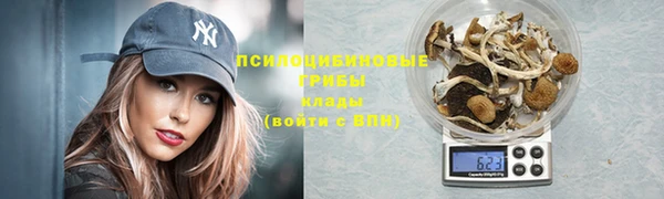 мдпв Кулебаки