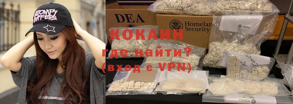 индика Лагань