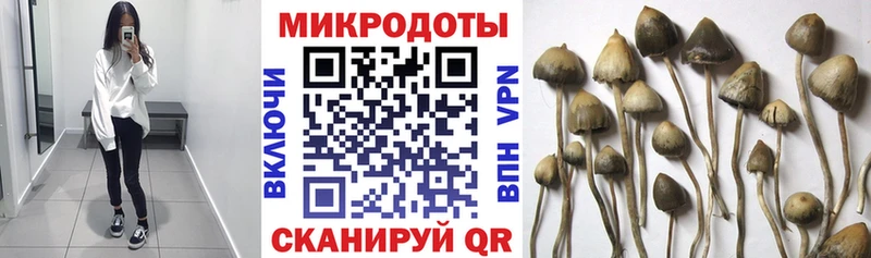купить цена Саянск MEGA ссылка Галлюциногенные грибы ЛСД