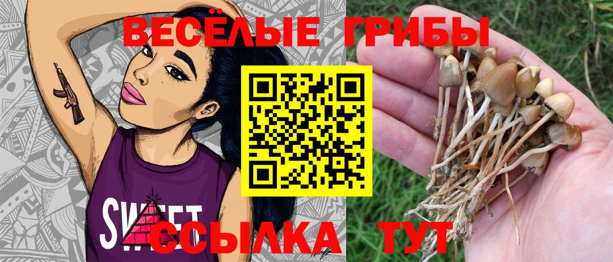 Галлюциногенные грибы GOLDEN TEACHER Саянск